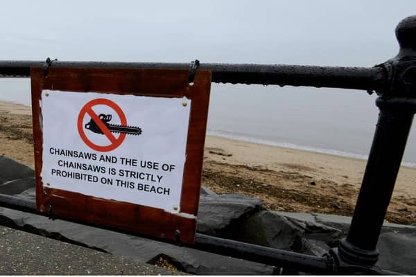Chainsaws are prohibited on the beach