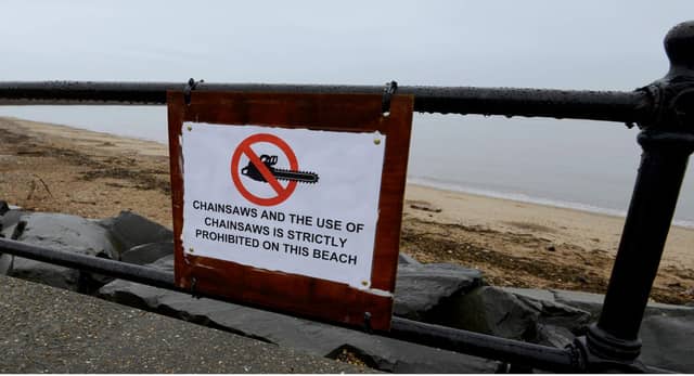 Chainsaws are prohibited on the beach