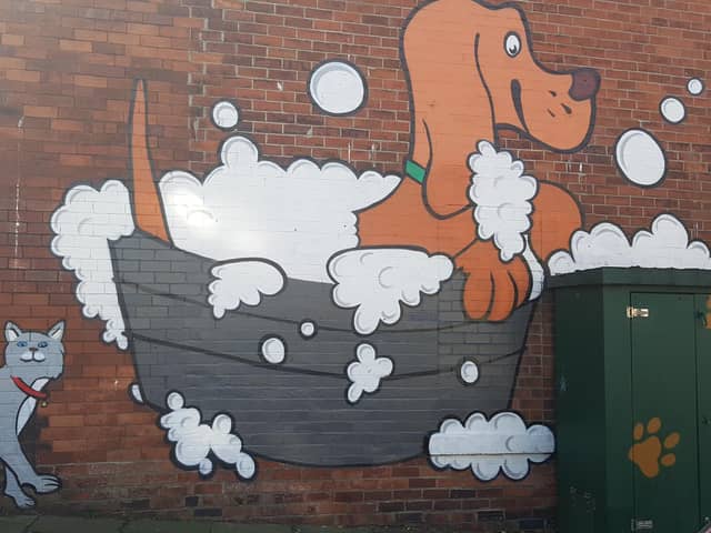 The painting is adjacent to the Hair of the Dog salon, on Durham Road, and was painted under commission by artist Frank Styles earlier this year.