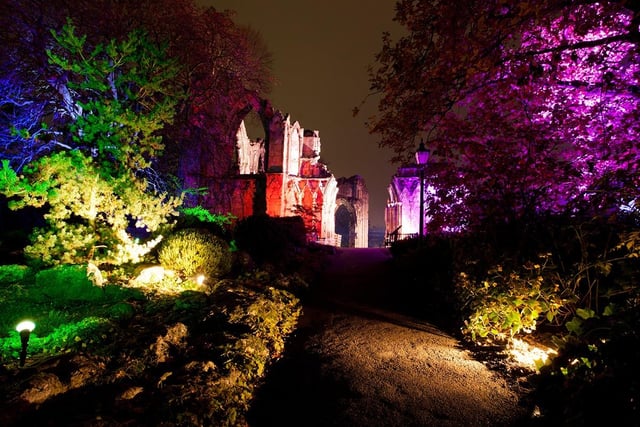 Auckland Castle in County Durham is to welcome AGLOW, a spectacular illuminated light trail this festive season, taking place from Wednesday 22 November - Sunday 31 December (Excluding Christmas Day). Set within the scenic castle grounds, the1.5 mile long light trail will dazzle visitors, with the tallest Christmas tree in the North and the longest outdoor light tunnel in the country. There’s also Santa’s Village, where visitors can enjoy festive food and drink and live shows.
Tickets are £21.50 for adults, £14.50 for children or £66.50 for families (consisting of one adult and three children, or two adults and two children.) Children aged 2 and under enter for free. 
The Auckland Project Annual Pass Holders receive 20% discount on the ticket prices. Tickets can be booked on the website: www.aucklandproject.org/whats-on/aglow-at-auckland-castle/
