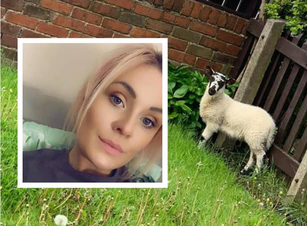 Amy Scollen was shocked to see a lamb in her garden in Ryhope