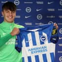 Former Sunderland midfielder commits future to Brighton after signing new long-term contract    