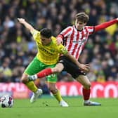 Edouard Michut playing for Sunderland against Norwich City. Picture by FRANK REID