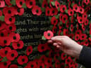 A person holds a poppy as they look at a wall made of 10,000 remembrance poppies following the RBL's Poppy Appeal 2022 (photo: Getty Images)