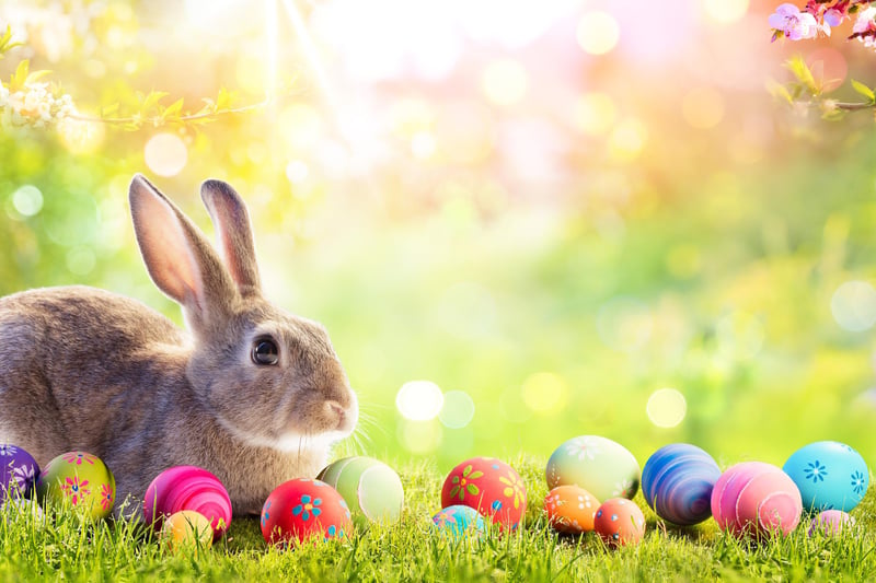 Event - Make Your Own Easter Bunny
Location - Souter Lighthouse
Date - Wednesday April 5
Activity - Take part in a craft workshop at the National Trust property to create your own stuffed toy Easter bunny.
Cost - £2 per child