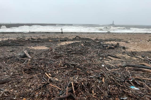 The rough seas have washed up huge piles of driftwood and other debris.