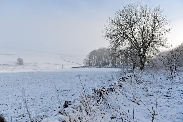 Misty, snow-covered fields meet a pale, blue sky
