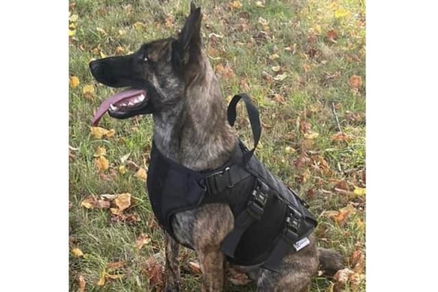 Police Dog Adley and his handler tracked down the two suspects who were found more than a mile away from the abandoned bike.