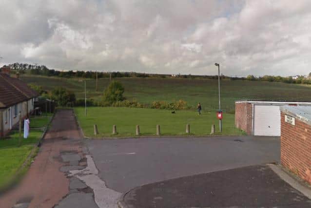 The puppy was found abandoned on the Bull Fields track behind the West Lea Estate in Seaham. Photo: Google Maps.