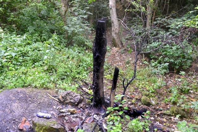 Deliberate fires have been set around Hylton Castle grounds, including this incident where a tree and land was left damaged.