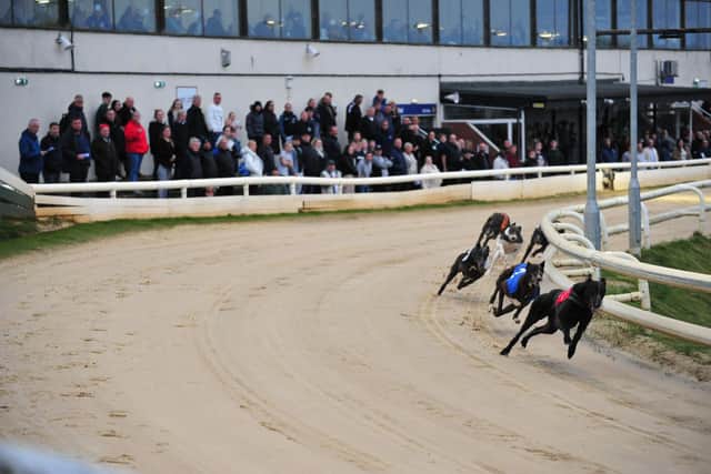 Greyhound racing at Sunderland Stadium.