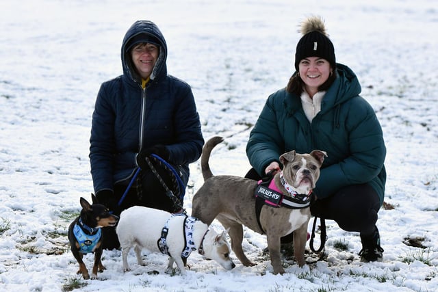 At Callendar Park are  Karen Robertson and daughter, Ailsa Biggerstaff wirt their dogs; Woody, Miniature Pinscher; Luna, Jack Russell Terrier and Reign, English Bulldog.