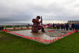 The area around the Tommy statue on the Terrace Green is usually used to create a display in honour of Remembrance Day, but the project had to miss this year out due to the pandemic.