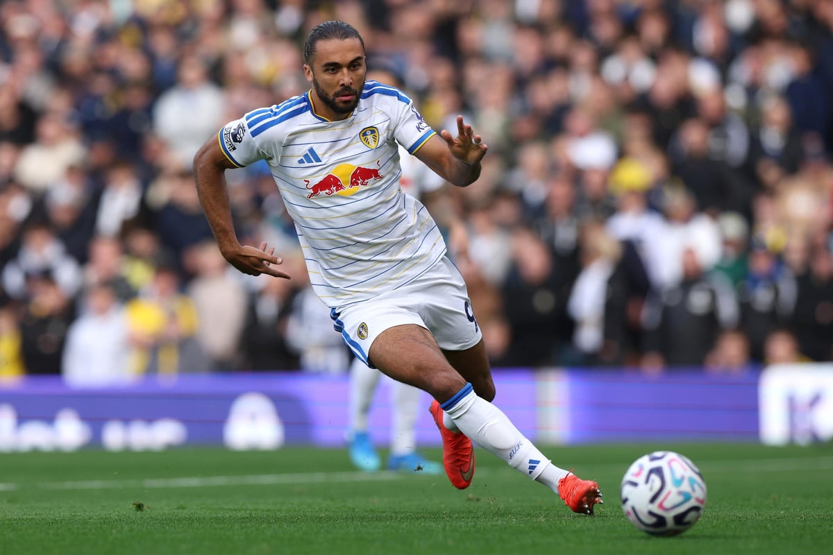 Two return, four out, six major doubts: The Sunderland and Leeds United team and injury news