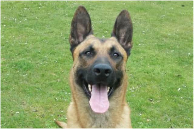PD Seth followed a trail and led police straight to the discarded weapon on a country track.