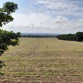 The land is presently used as a wheat farm covering almost six hectares, which is 60,000 square metres, or nine full-size football pitches.