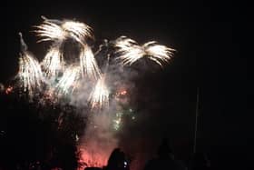Echo readers have their say on banning fireworks.