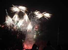 Echo readers have their say on banning fireworks.