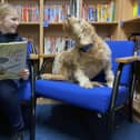 Scarlett Oliver, 10, reading to Autumn. 

Picture by FRANK REID