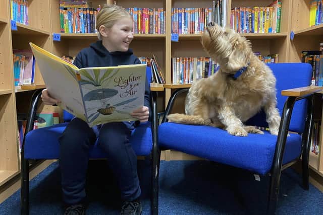 Scarlett Oliver, 10, reading to Autumn. 

Picture by FRANK REID