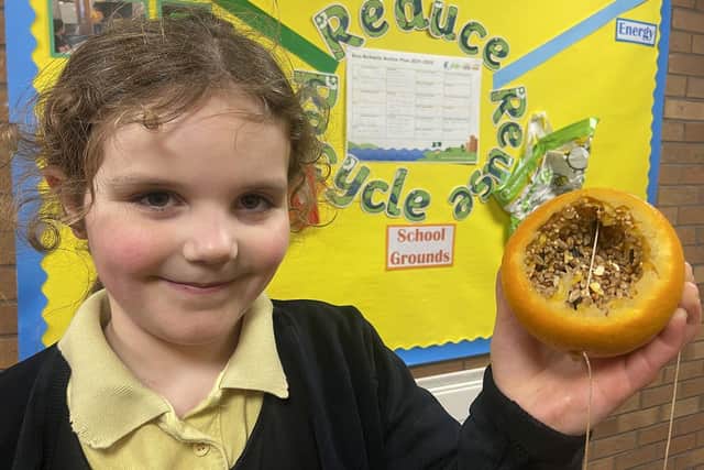 Rosie Merrison, 6, with the hanging fruit bird-feeder that she made to hang in the school's woods.