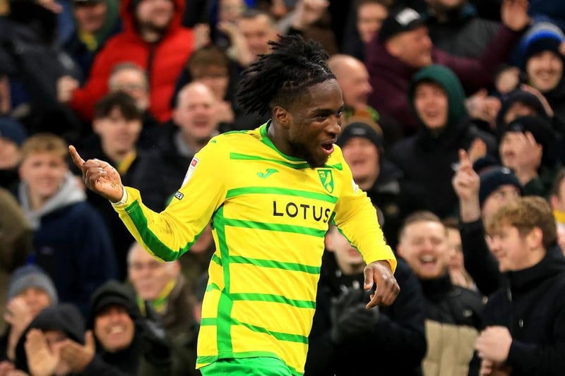 Norwich's top scorer, who has netted 12 league goals this season, has been ruled out for around two months with a hamstring injury.