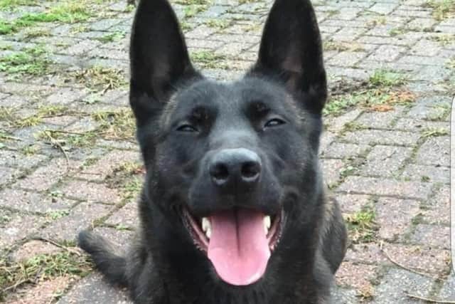 Police dog Raven has been praised for helping bring things back under control when a party threatened to turn violent.