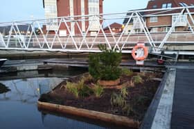 So why is a Christmas tree nestling on a pontoon in the River Wear?