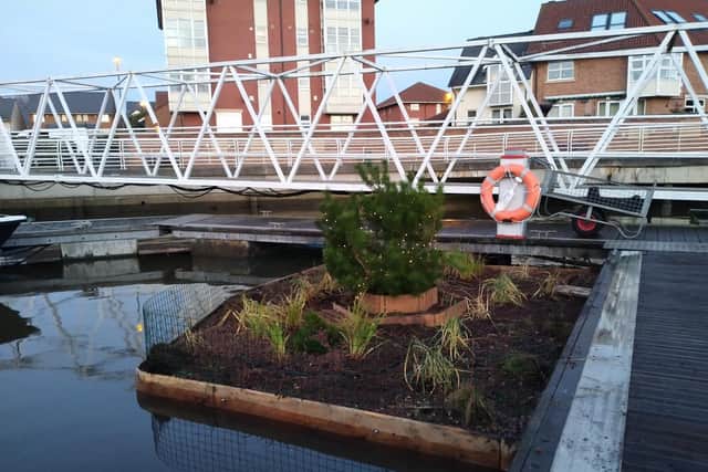 So why is a Christmas tree nestling on a pontoon in the River Wear?