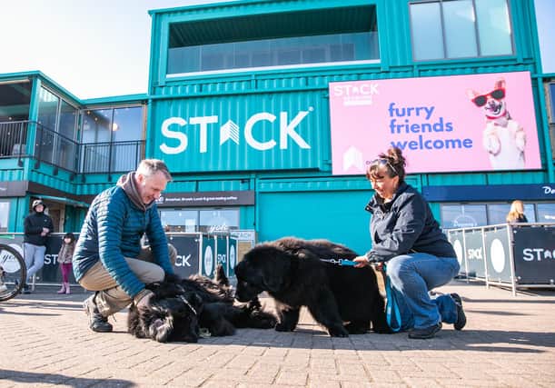The organised dog walk has relaunched at STACK in Seaburn.