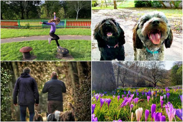 The Backhouse Park photo competition