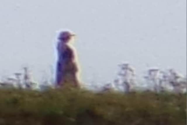 Close up: A magnified picture of the person spotted walking behind the family. She appears to be in old-fashioned clothes, wearing a hat and carrying a bag.