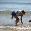 The dog ban at parts of Sunderland's beaches returns on May 1.