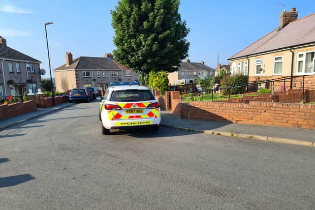 Police in Meadow Grove this evening