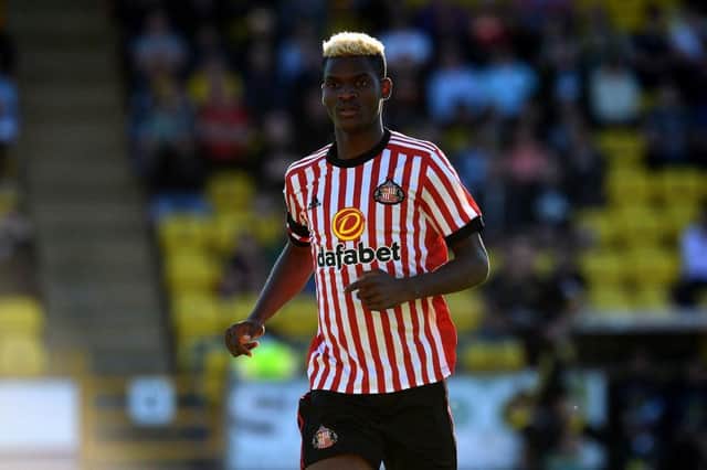 Didier Ndong is Sunderland's club record purchase (Photo by Mark Runnacles/Getty Images)