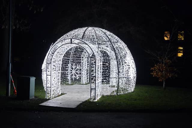 A previous Festival of Light in Mowbray Park.