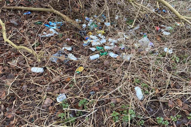 Sunderland City Council say robust action will be taken against anyone caught littering.