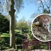 Rats have been reported at Barnes Park