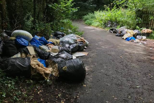 Rubbish has been dumped along both sides of the path