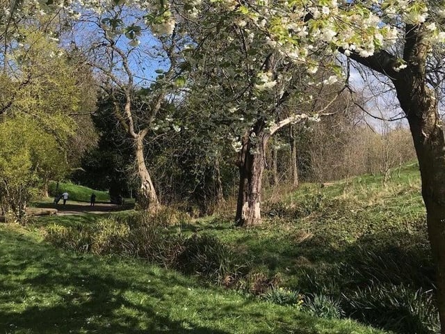 Not as manicured as Mowbray Park or as bonny as Barnes Park, but Backhouse Park has a more rural, escapist feel. Thomas William Backhouse gifted the park, formerly Ashburne Park, to the Corporation of Sunderland in 1922 who named it Backhouse Park.