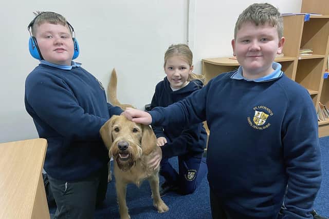 St. Leonard's Catholic Primary School pupils (left to right) Oliver, Scarlett and Harrison stroking Beau the school dog. 

Picture by FRANK REID