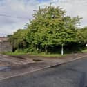 Site proposed for bungalow development off Tile Shed Lane, South Tyneside. Picture: Google Maps