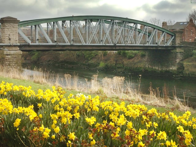 Signs of spring in full bloom in previous years at Fatfield Bridge. A great place to start your riverside walk.