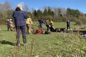 Fire crews were called to Wingate to rescue Windy the horse from a beck.
