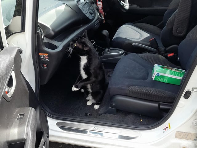 Maverick's in charge of the navigating today. Get him the keys!