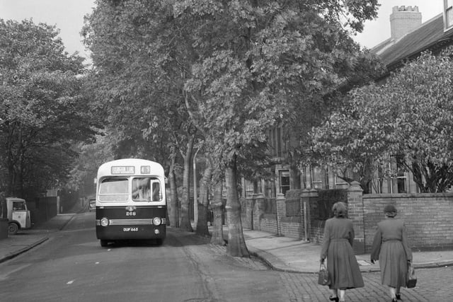 Ash trees on the east side of Tunstall Road at Valebrook in 1954.
