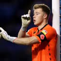 SHEFFIELD, ENGLAND - NOVEMBER 02: Bailey Peacock-Farrell of Sheffield Wednesday gives instructions during the Sky Bet League One match between Sheffield Wednesday and Sunderland at Hillsborough Stadium on November 02, 2021 in Sheffield, England. (Photo by George Wood/Getty Images)