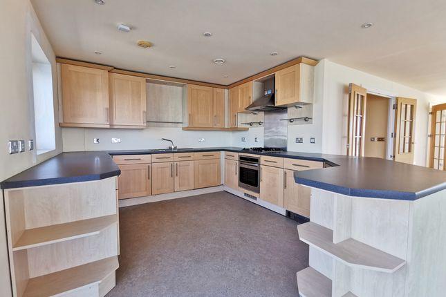 This is what the kitchen looks like.