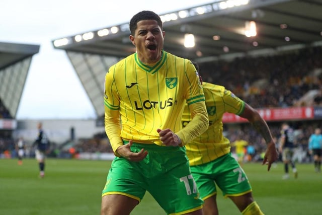 Norwich City have a reported net spend of £9.08million on transfers over the last two windows.