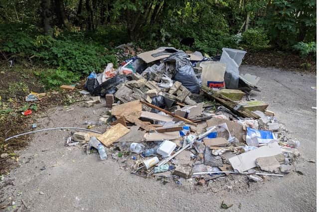 A large amount of waste was found dumped in the car park at Station Road, Hetton, next to the entrance to Hetton Lyons Country Park in September last year.